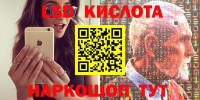 индика Вязьма